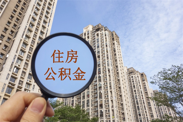 招远芜湖公积金代办（招远芜湖公积金代办公司）